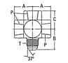 202006 Female Pipe to Male JIC Cross Adapter